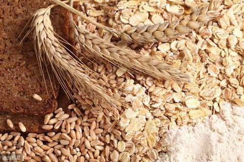 山东小麦已率先降价,面粉纷纷提价,今后小麦和面粉价格走势如何